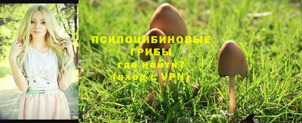 mdpv Аркадак