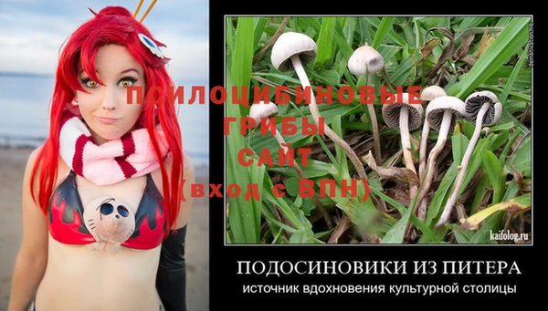 mdpv Армянск