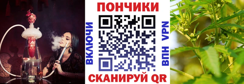 Шишки марихуана гибрид  Могоча 